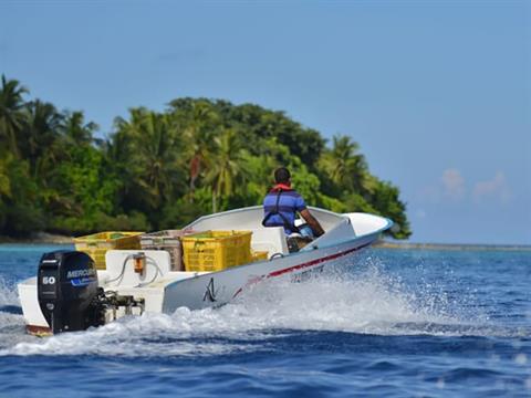 Mercury Marine 60EXLPT SeaPro Command Thrust in Huron, Ohio - Photo 5