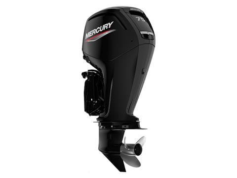Mercury Marine 115ELPT Command Thrust FourStroke Boat
