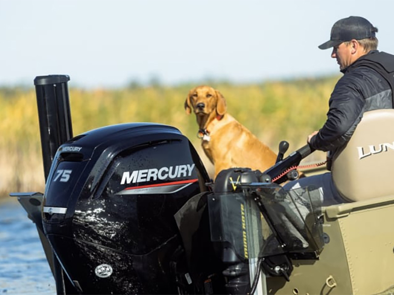 Mercury Marine 75ELPT FourStroke in Huron, Ohio - Photo 3
