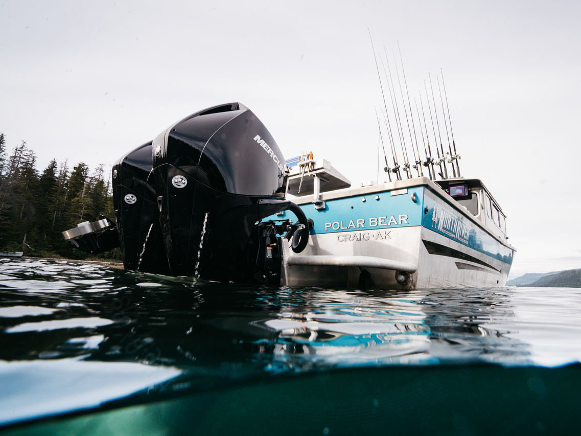 Mercury Marine FourStroke 225hp 20 in. Boat Engines Albert Lea