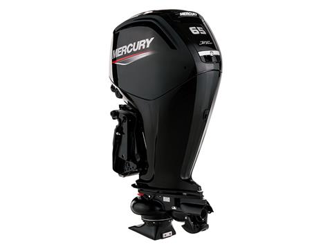 Mercury Marine Jet 65ELPT FourStroke in Huron, Ohio