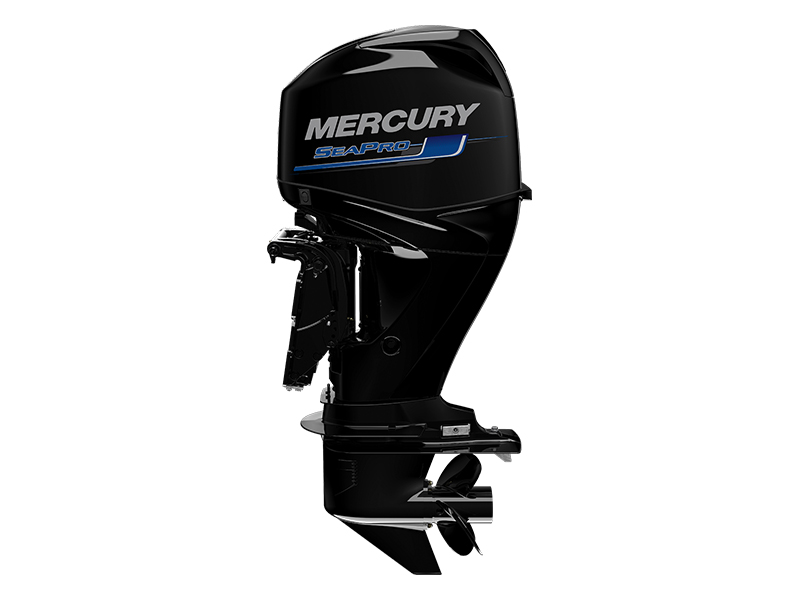 Mercury Marine SeaPro 40hp 20 in. Tiller Boat Engines Albert Lea