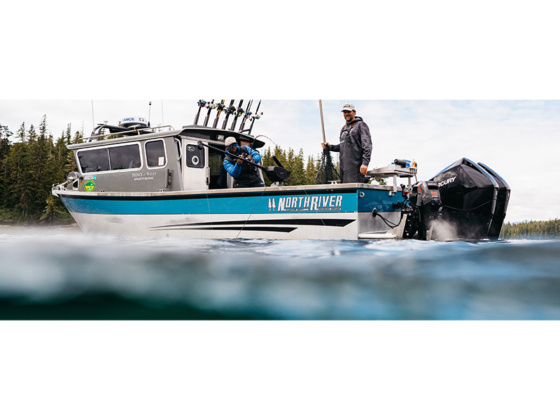 Mercury Marine 200L Seapro in Huron, Ohio - Photo 2