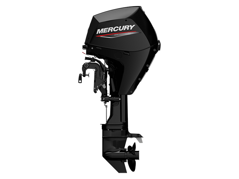 Mercury Marine 25EPT FourStroke in Huron, Ohio - Photo 1