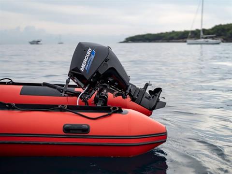 Mercury Marine 25MLH SeaPro FourStroke in Huron, Ohio - Photo 7