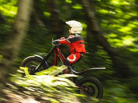 New 2024 Oset Electric Bikes TXP-20 Motorcycles in North