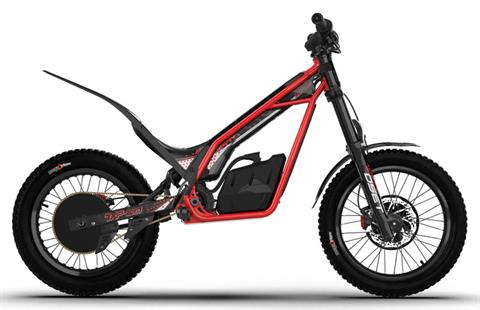 New 2024 Oset Electric Bikes TXP-20, Fort Wayne IN | Specs, Price