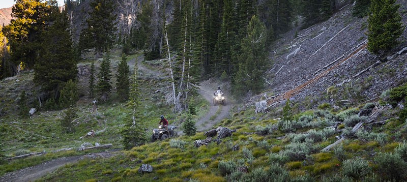 2021 Polaris Sportsman 450 H.O. EPS in Marietta, Ohio - Photo 3