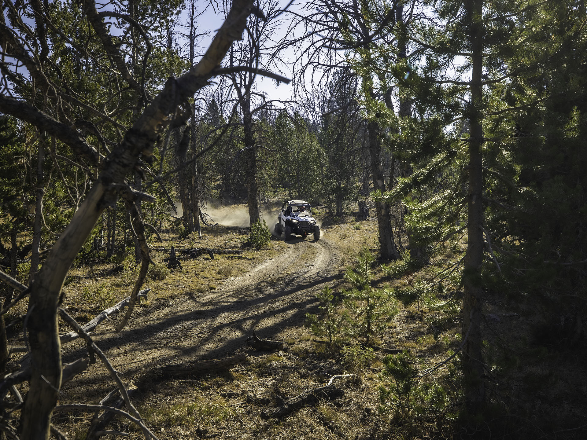 2023 Polaris RZR Trail S 900 Sport in Gorham, New Hampshire - Photo 4