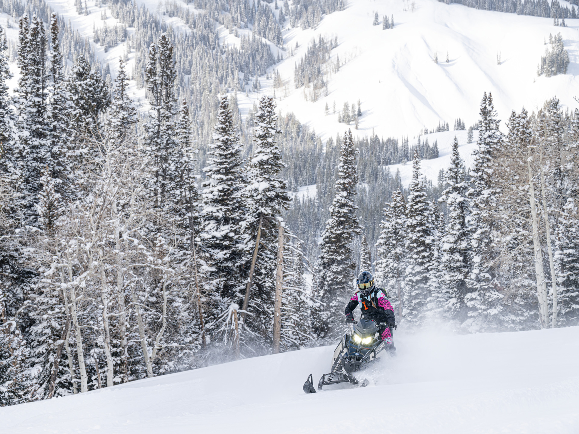 2025 Polaris 650 RMK SP 155 in The Dalles, Oregon - Photo 15