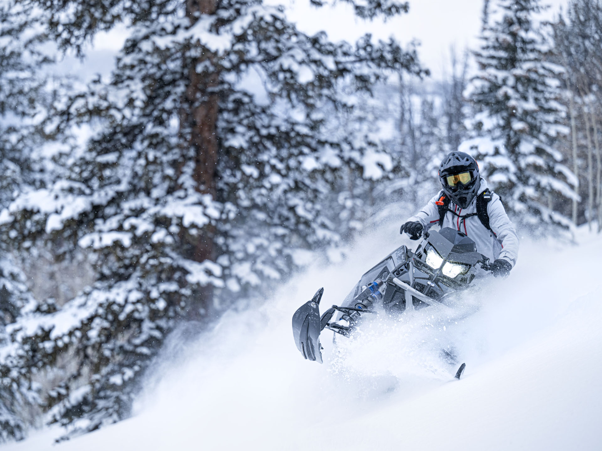 2025 Polaris Patriot 9R PRO RMK 165 SC in The Dalles, Oregon - Photo 3