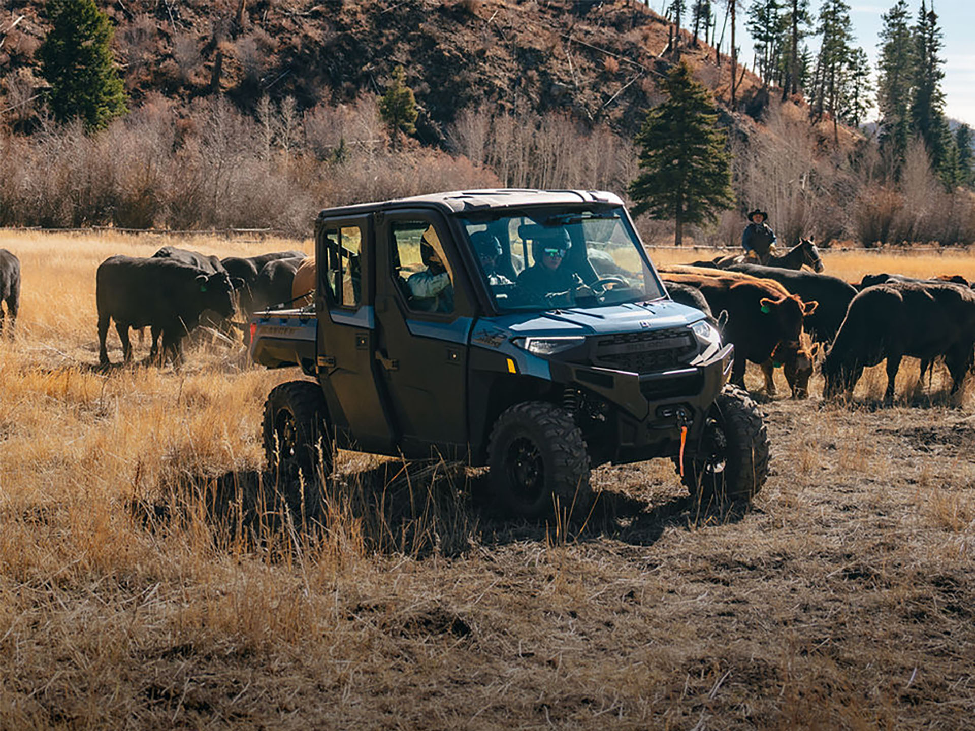 2025 Polaris Ranger Crew XP 1000 NorthStar Edition Ultimate in North Bend, Oregon - Photo 13