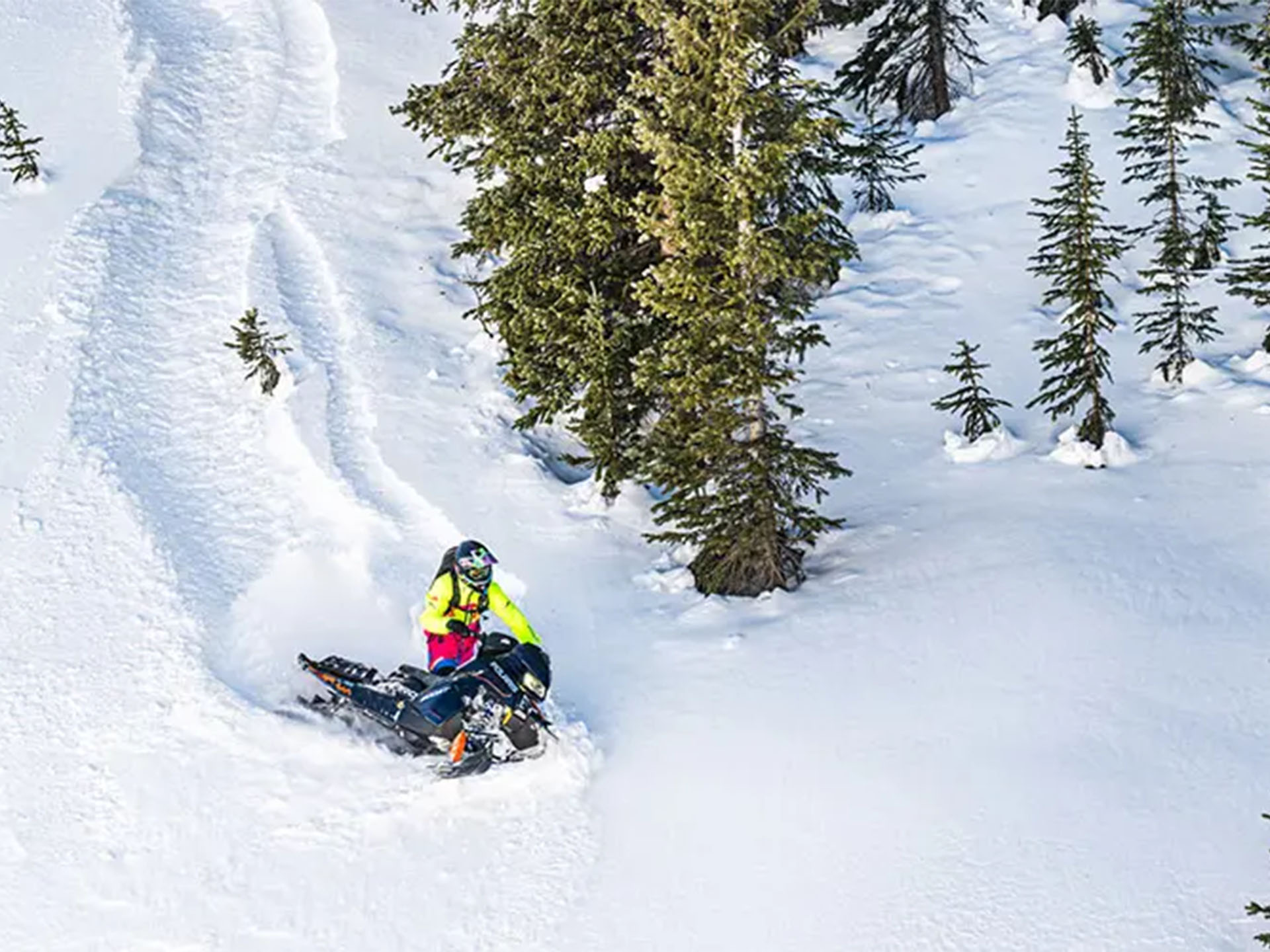2026 Polaris Patriot 9R PRO RMK 155 Limited Edition 275 SC in The Dalles, Oregon - Photo 14