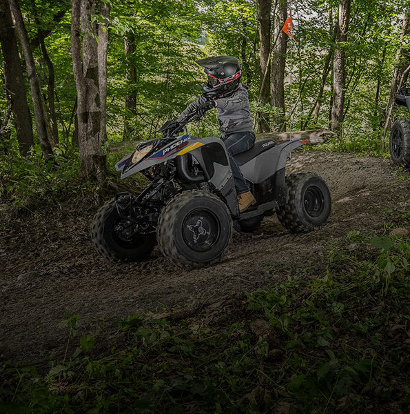 2027 Polaris Phoenix 200 7