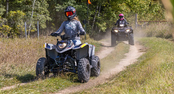 2027 Polaris Phoenix 200 10