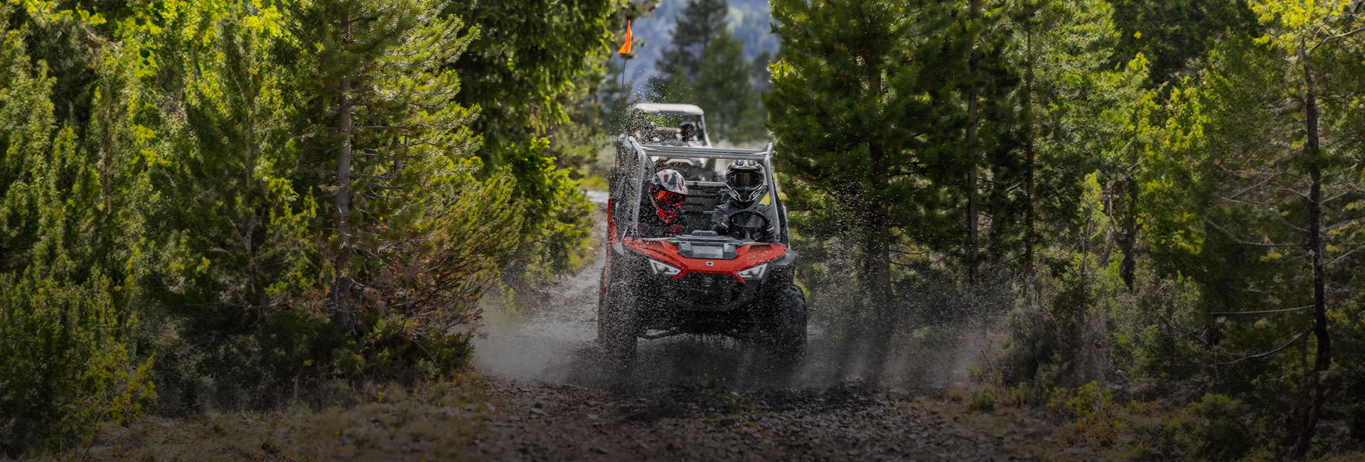 2027 Polaris RZR 200 EFI 9