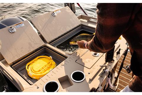 2025 Premier 250 Sunsation Angler 2PT in Saint Cloud, Minnesota - Photo 14