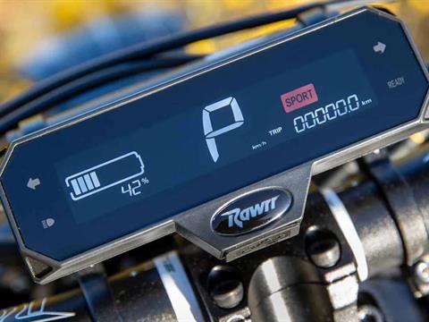 2025 Rawrr Mantis in Marietta, Ohio - Photo 11