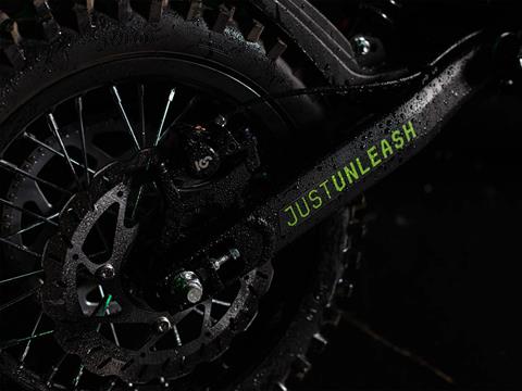 2025 Rawrr Mantis Mini in Marietta, Ohio - Photo 11