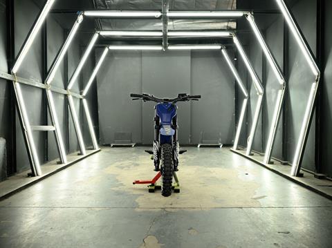 2025 Rawrr Mantis Mini Pup in Marietta, Ohio - Photo 11