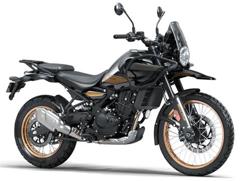 Re himalayan for sale sale