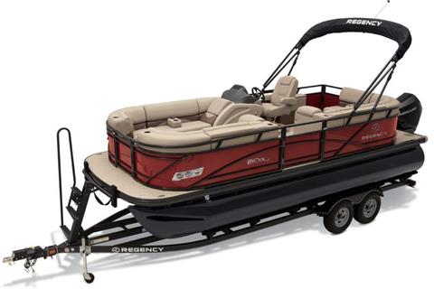 2019 Regency 210 DL3 in Gaylord, Michigan