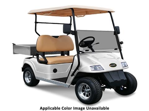 2024 Star EV Classic 36-2H | Utility Vehicles for Sale, Cicero IN