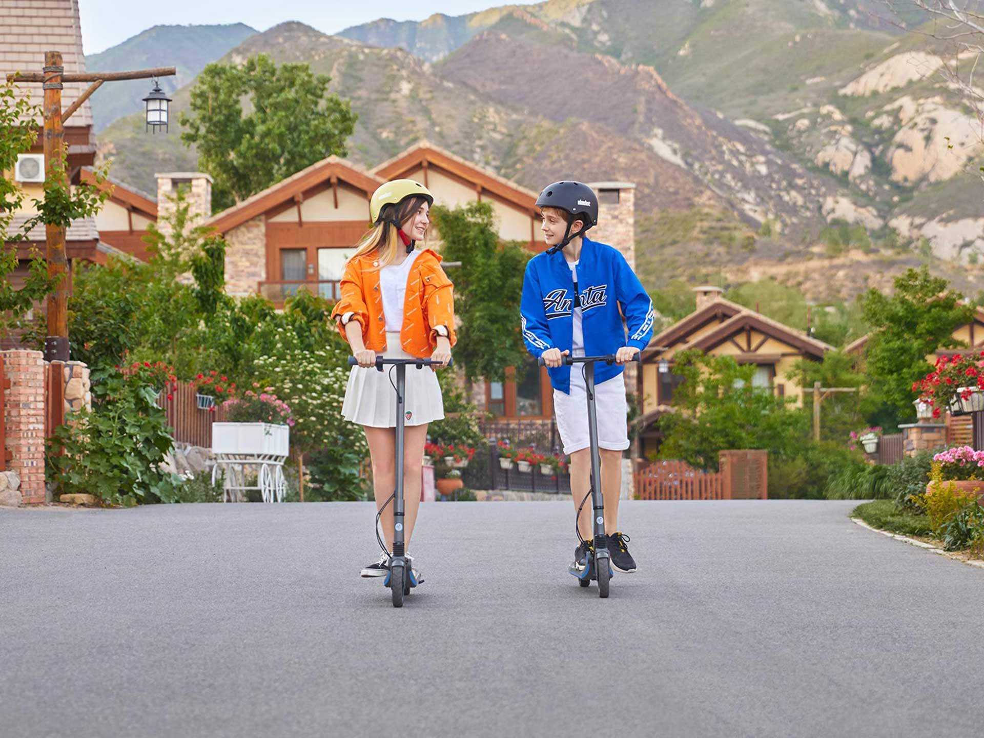 New 2024 Segway Ninebot eKickScooter ZING E10 Personal