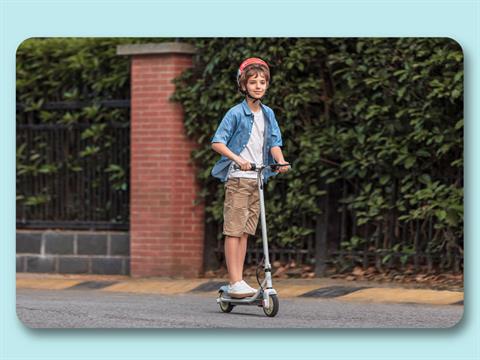 New 2025 Segway Ninebot eKickScooter ZING C10