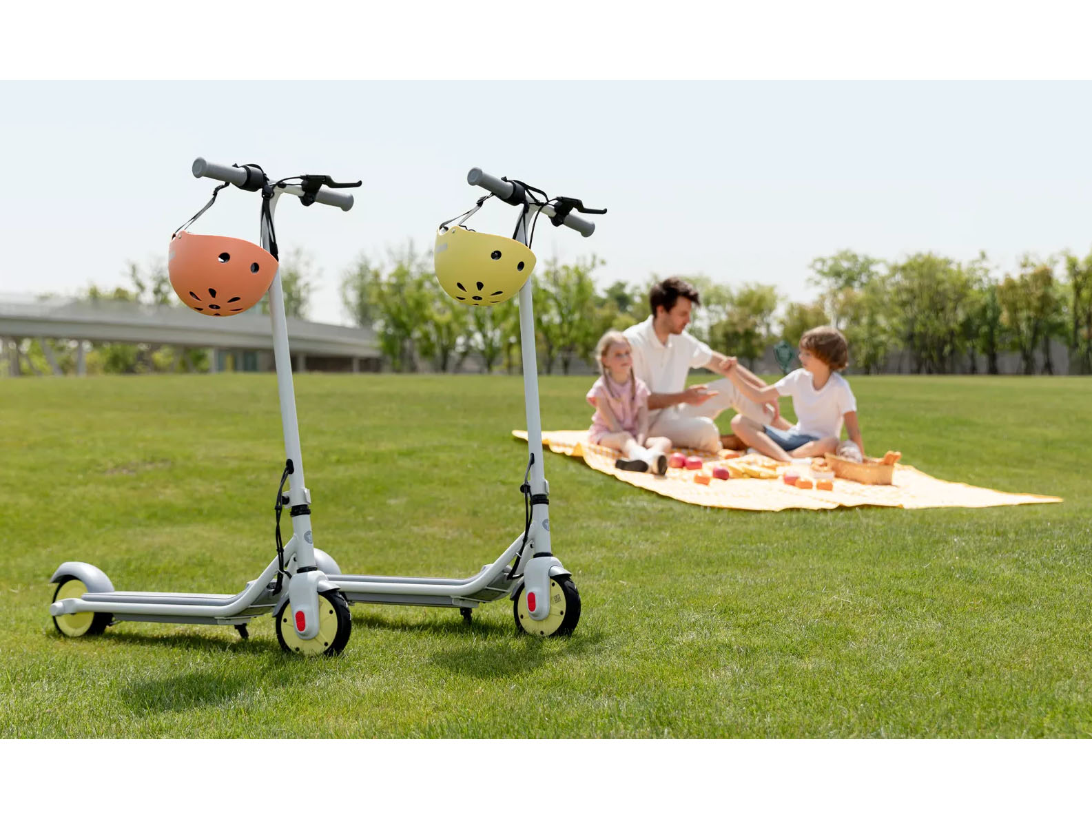 New 2025 Segway Ninebot eKickScooter ZING C8, Hendersonville