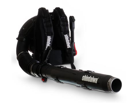 マキ 51A5bQH0uyL._AC_UF350,