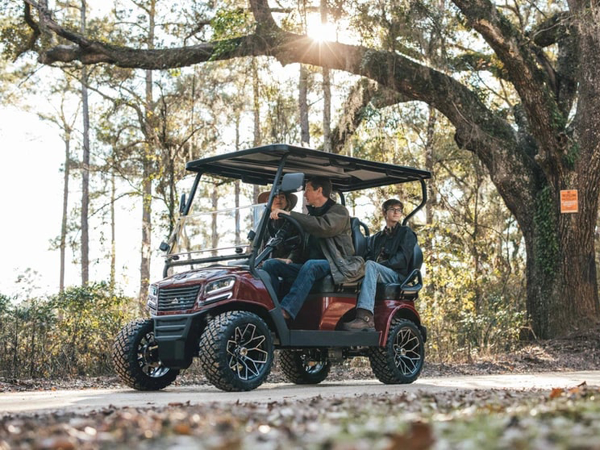 2024 Sierra LSV AX4 in Virginia Beach, Virginia - Photo 12