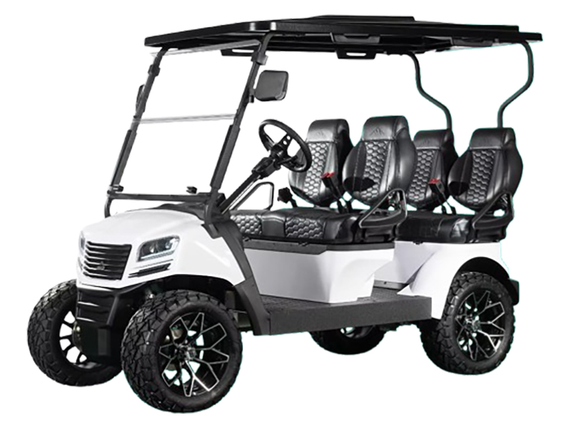 2024 Sierra LSV AX4 in Virginia Beach, Virginia - Photo 1
