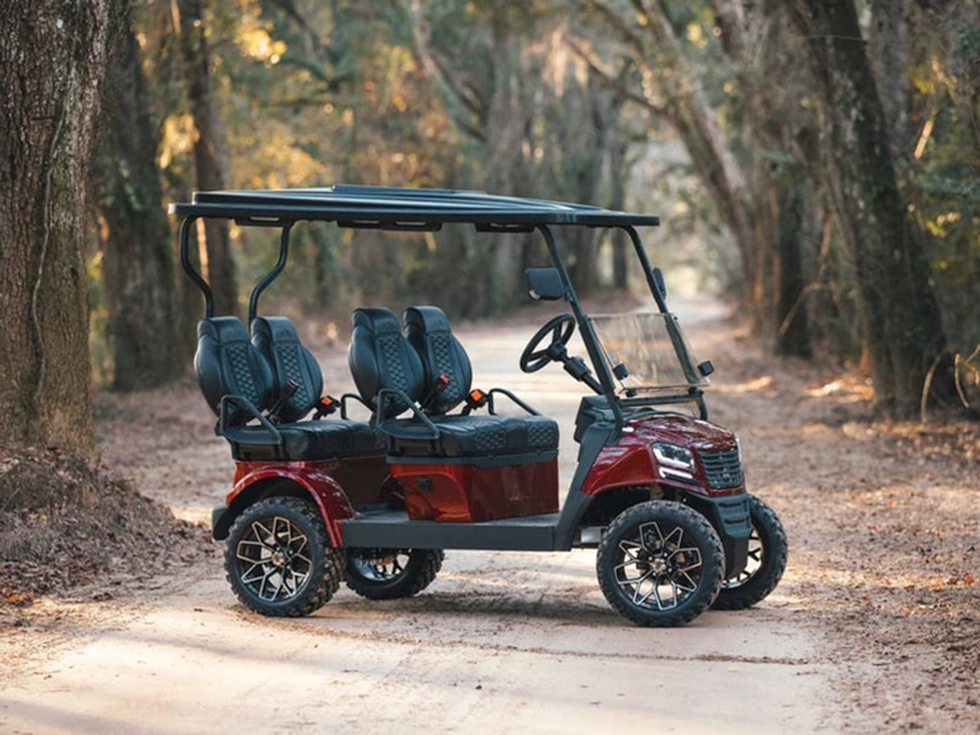 2024 Sierra LSV AX4 in Virginia Beach, Virginia - Photo 14