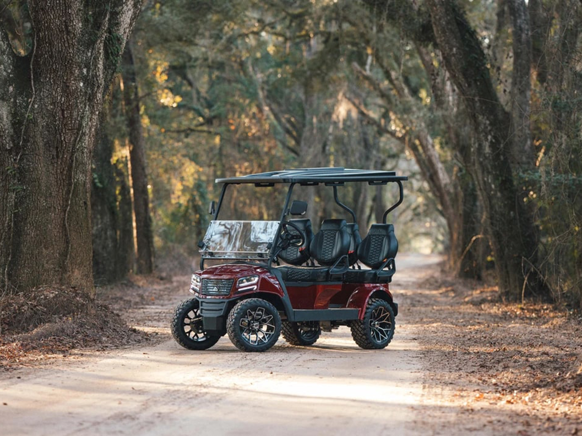 2024 Sierra LSV AX4 in Virginia Beach, Virginia - Photo 15