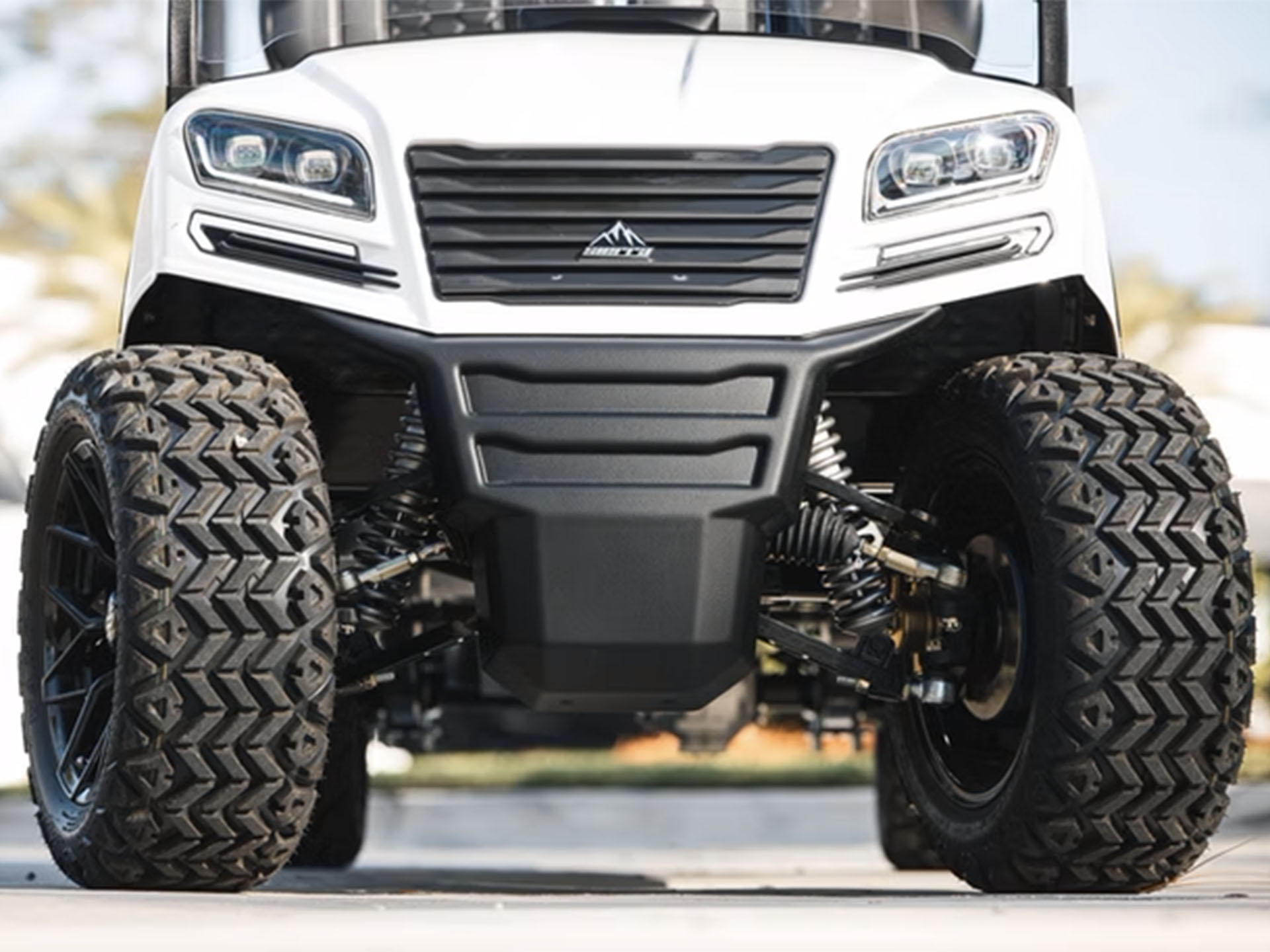2025 Sierra LSV AX3 in Virginia Beach, Virginia - Photo 10