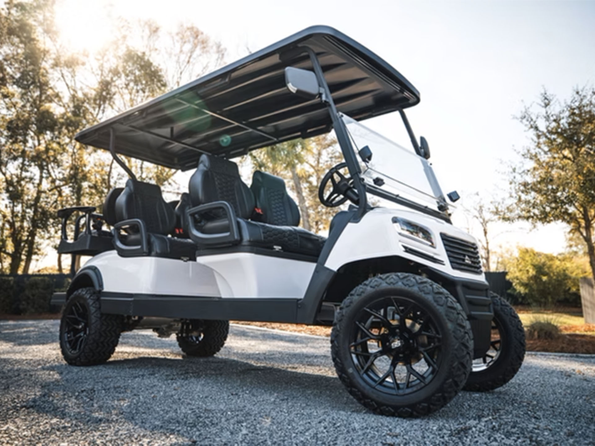 2025 Sierra LSV AX3 in Virginia Beach, Virginia - Photo 14