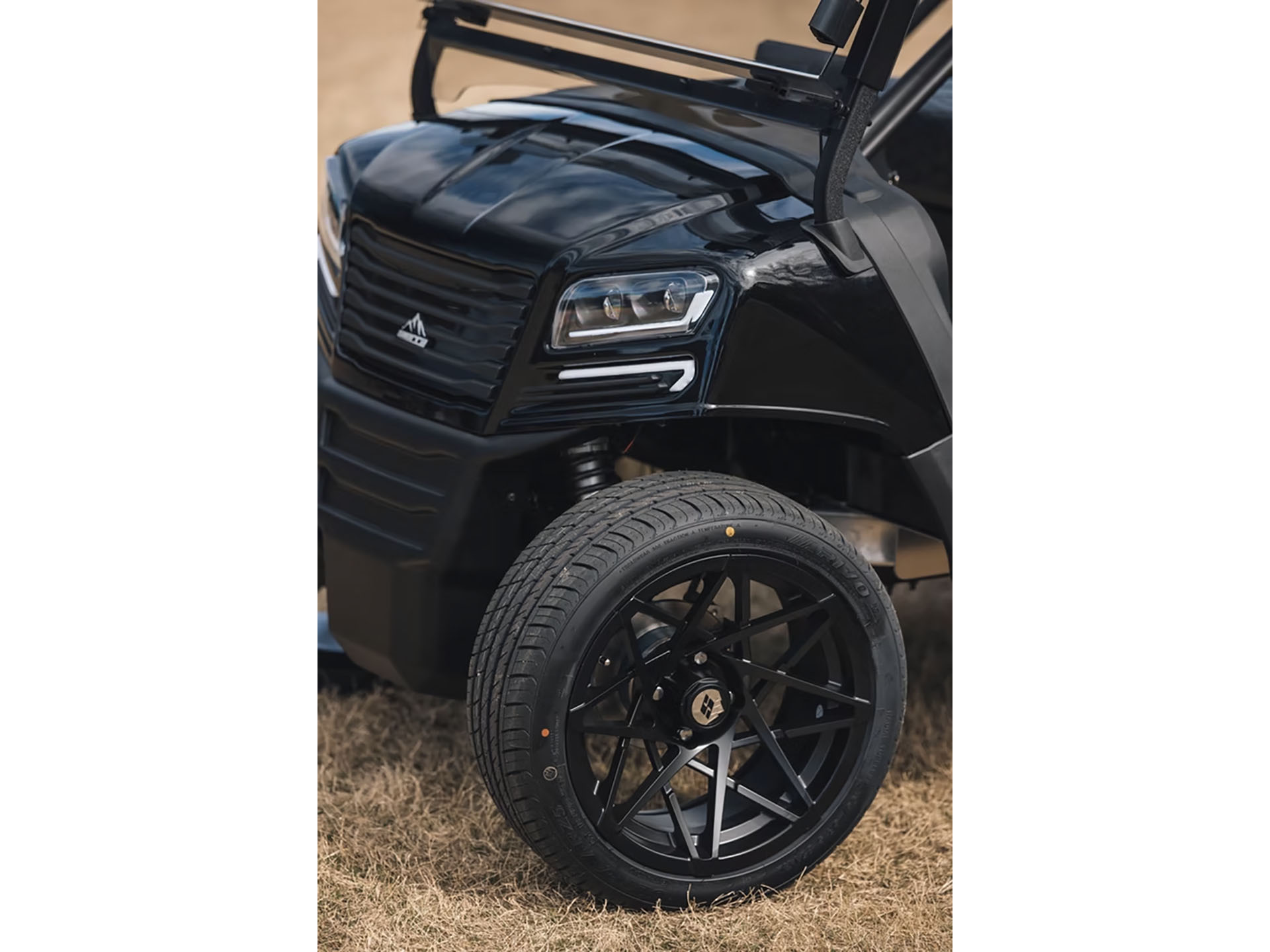 2025 Sierra LSV AX4 in Virginia Beach, Virginia - Photo 7