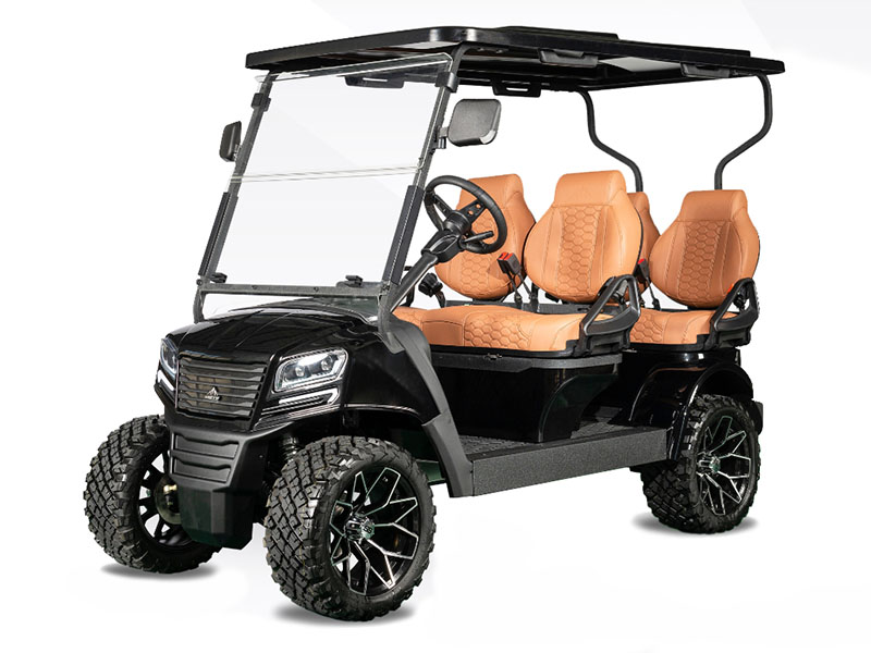 2025 Sierra LSV AX4 in Virginia Beach, Virginia - Photo 1
