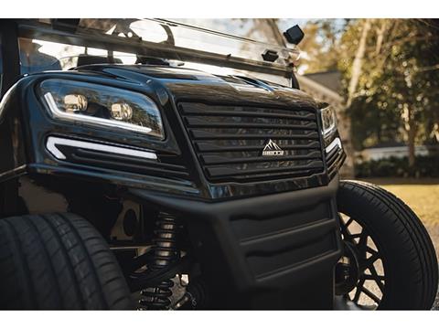 2025 Sierra LSV AX4 in Virginia Beach, Virginia - Photo 5