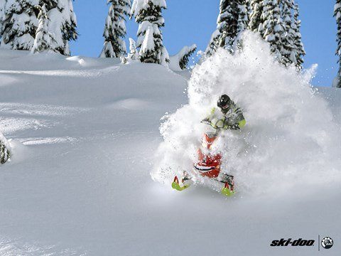 2016 Ski-Doo Freeride 146 800R E-TEC, PowderMax 2.5" in Gorham, New Hampshire - Photo 17