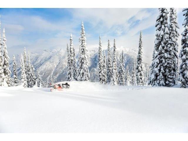 2016 Ski-Doo Summit SP T3 174 800R E-TEC E.S., PowderMax 3.0" in Yankton, South Dakota - Photo 19