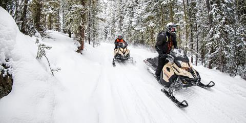 2017 Ski-Doo Renegade Enduro 600 HO E-TEC E.S. in Findlay, Ohio - Photo 9