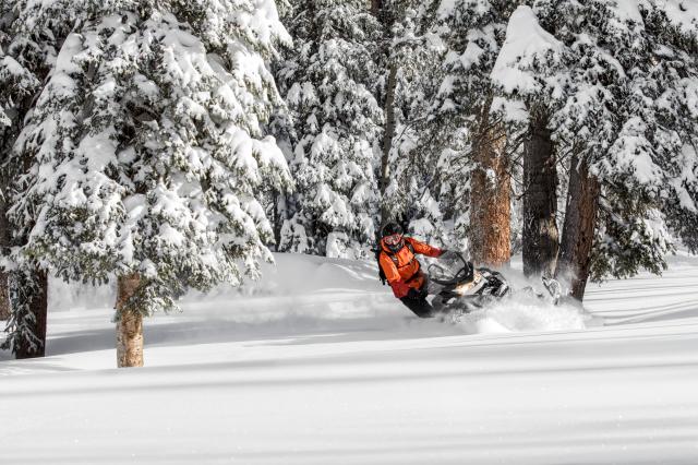2018 Ski-Doo Renegade Backcountry 850 E-TEC in Huron, Ohio - Photo 11
