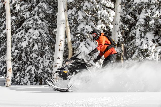 2018 Ski-Doo Renegade Backcountry 850 E-TEC in Huron, Ohio - Photo 12