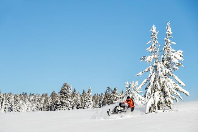 2018 Ski-Doo Renegade Backcountry 850 E-TEC in Huron, Ohio - Photo 16