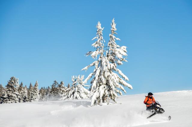2018 Ski-Doo Renegade Backcountry 850 E-TEC in Huron, Ohio - Photo 17
