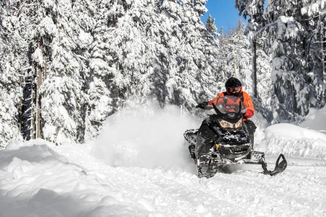 2018 Ski-Doo Renegade Backcountry 850 E-TEC in Huron, Ohio - Photo 19