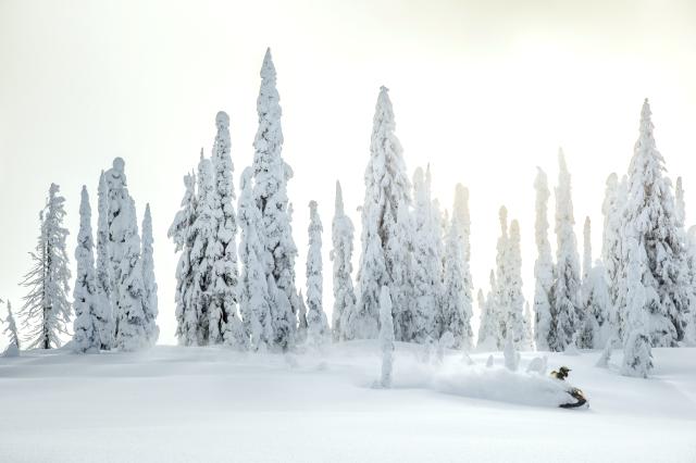 2018 Ski-Doo Summit SP 175 850 E-TEC SS in Burlington, Washington - Photo 12