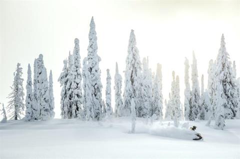 2018 Ski-Doo Summit SP 175 850 E-TEC SS in Burlington, Washington - Photo 12